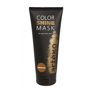 Artego color shine mask 6.8oz