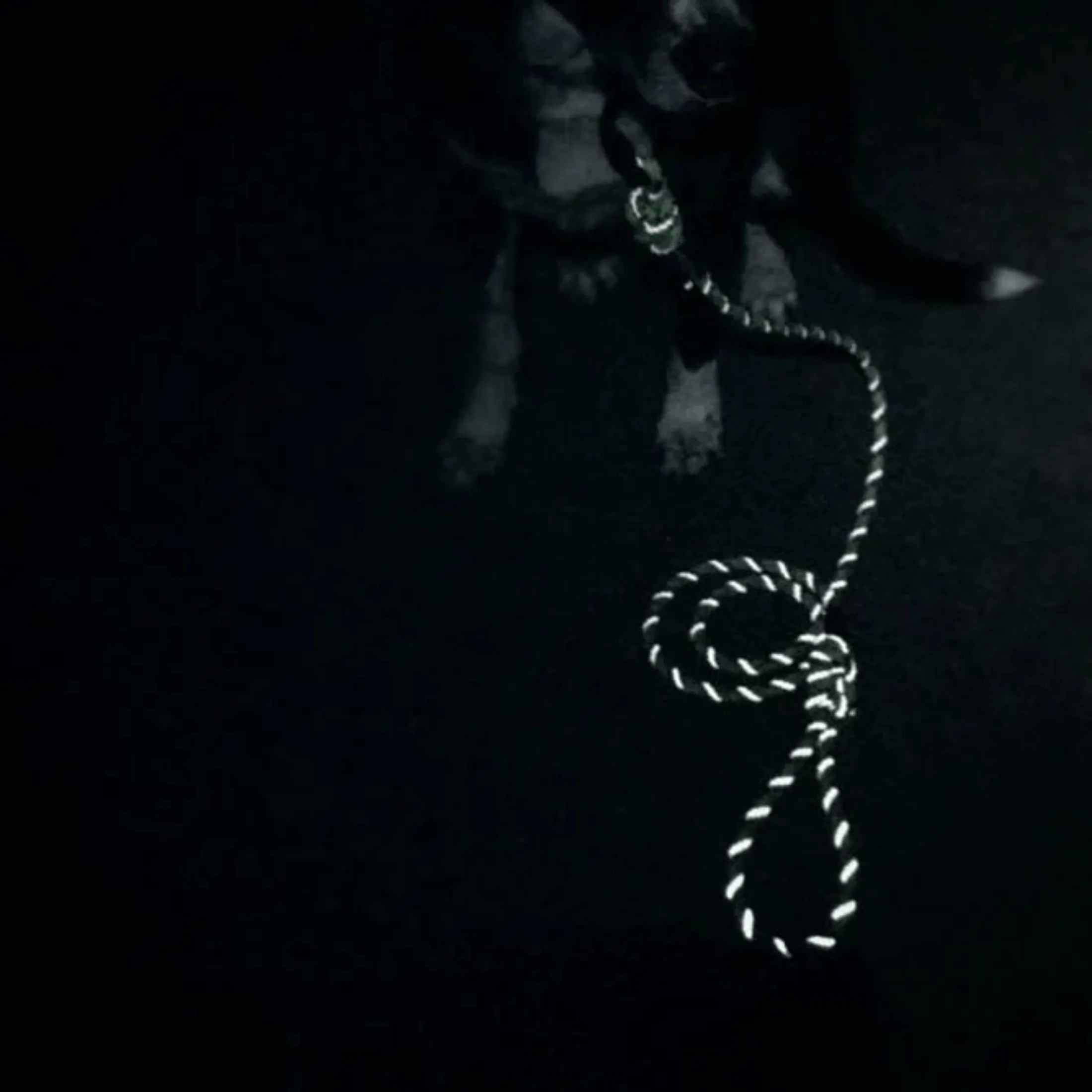 Lime Reflective Rope Collar