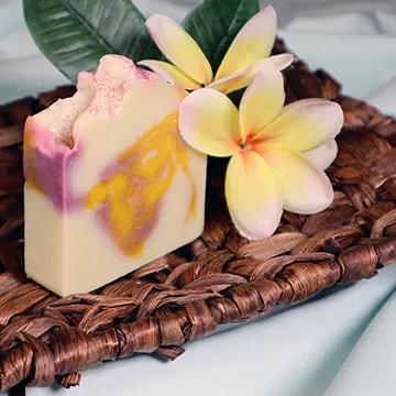 Ohana Means Family Vegan and Hemp Oil Bar Soap