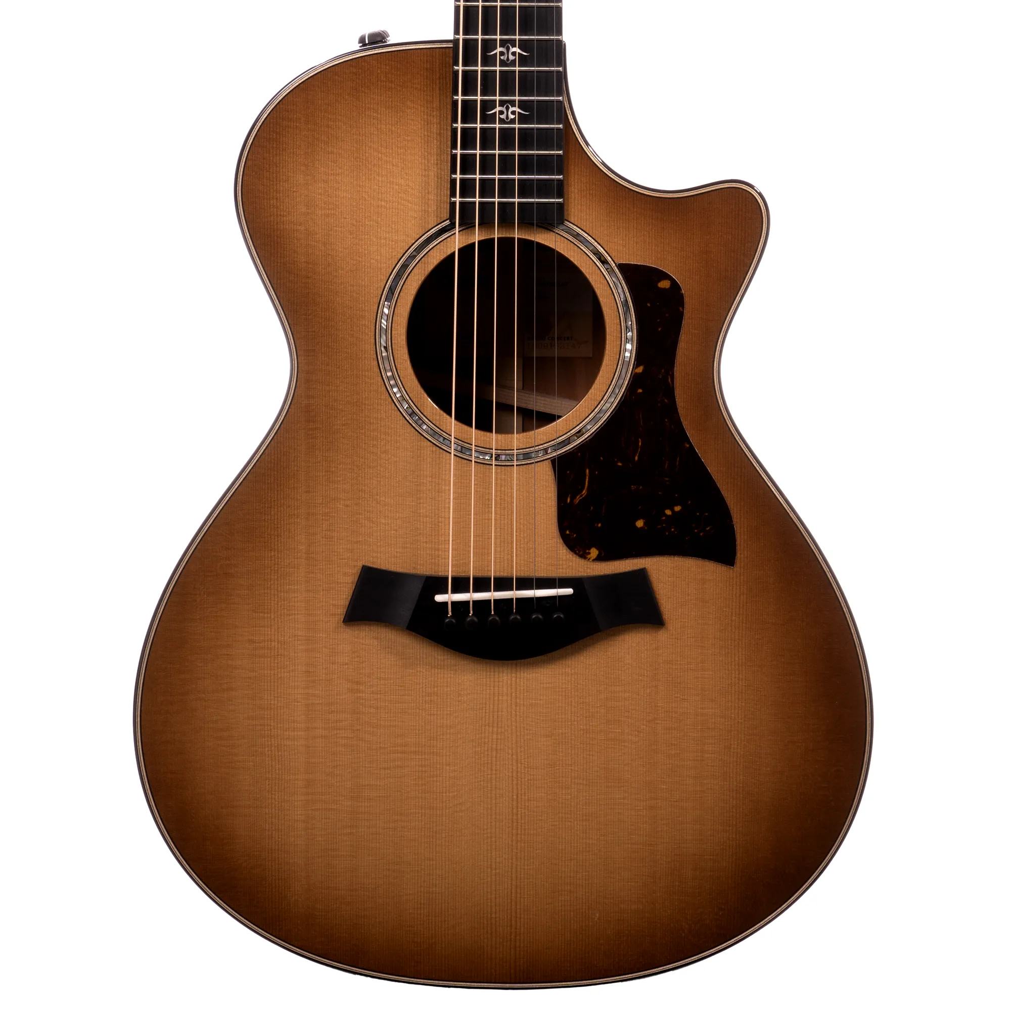 Taylor 512ce Urban Ironbark Grand Concert Acoustic Guitar