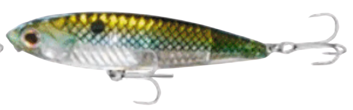 TSUNAMI TIDAL PRO TOPWATER 6"